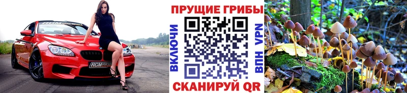 Галлюциногенные грибы прущие грибы Бакал
